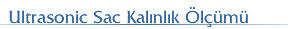 Ultrasonic Sac Kalnlk lm